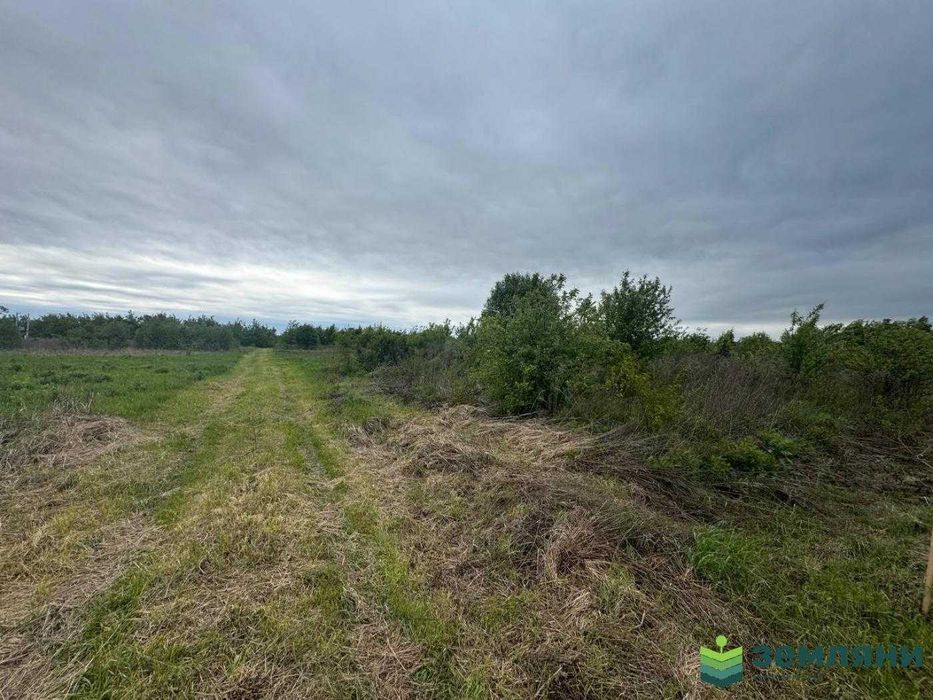 Продається ділянка 19.2 сот під будівництво в с.Чукалівці (6)