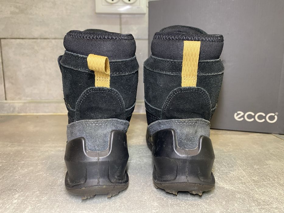 Зимові черевики Ecco Biom K2