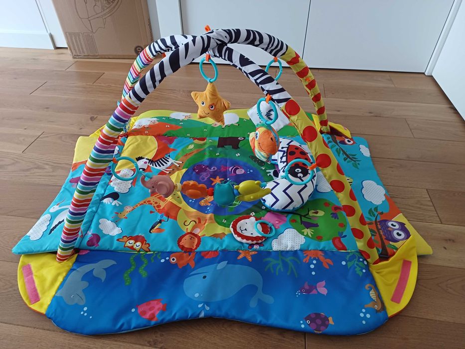 Mata edukacyjna LIONELO ANIKA