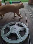 Szpula projektora kinowego 35 mm Vintage Cinema projector  hollywood