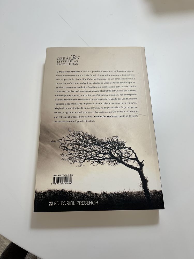 Livro “O Monte dos Vendavais”