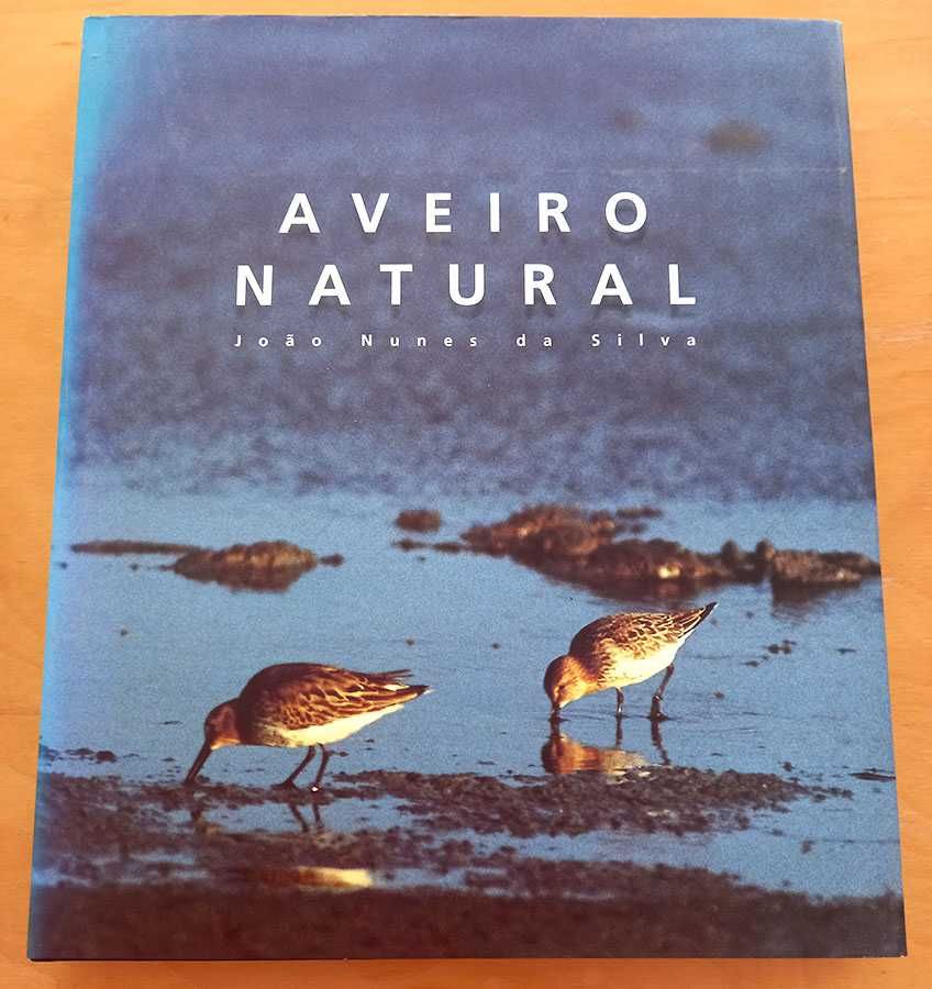 Aveiro Natural, João Nunes da Silva