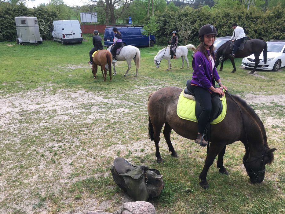 Klacz huculska 10 lat 133 cm