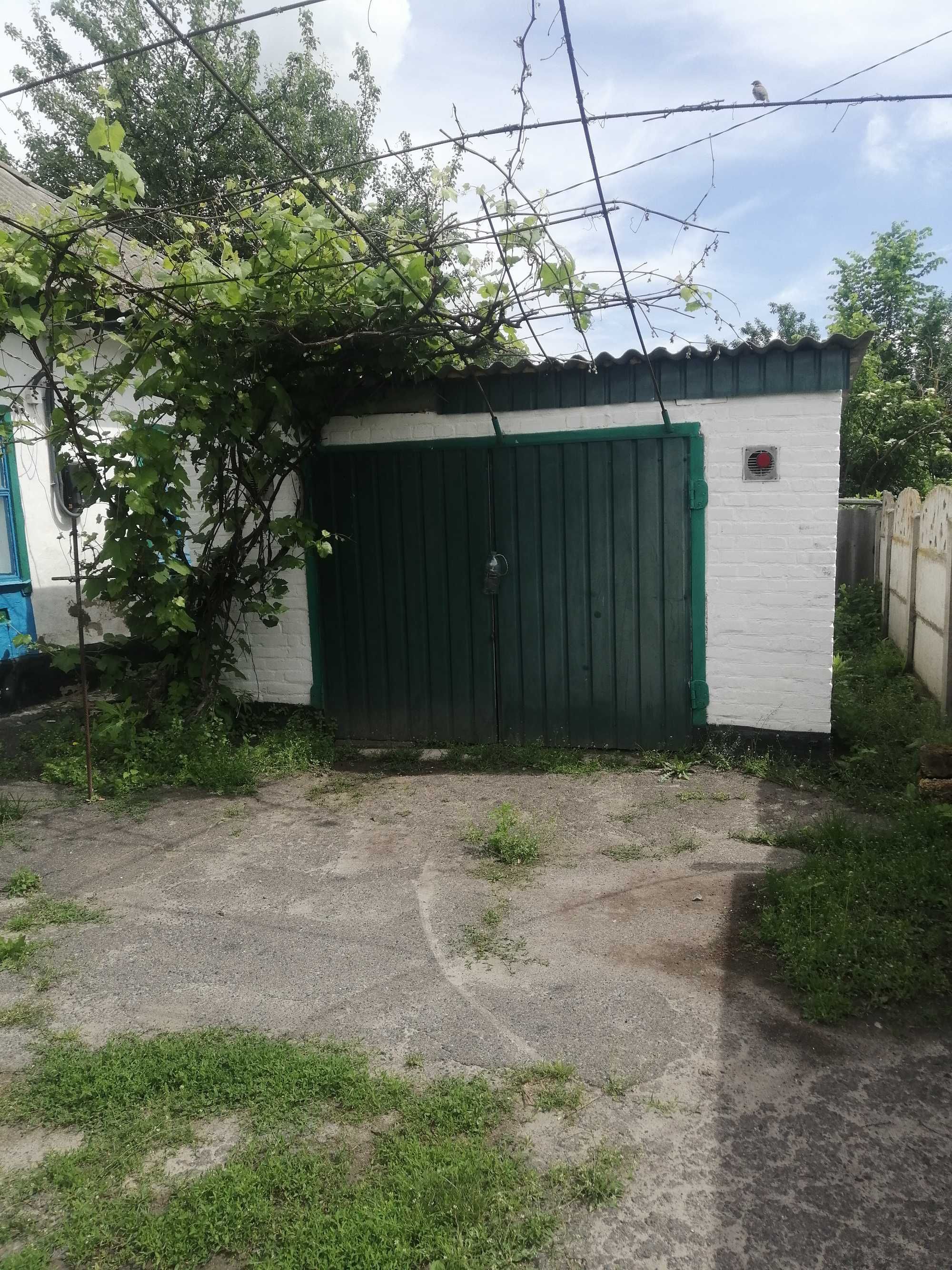 продается не дорого дом в селе
