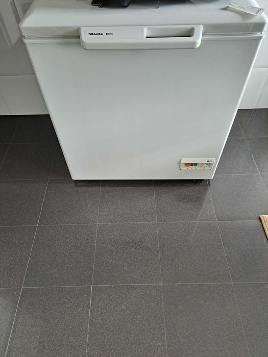 Arca Congeladora Miele GT 263 ES – Excelente Estado