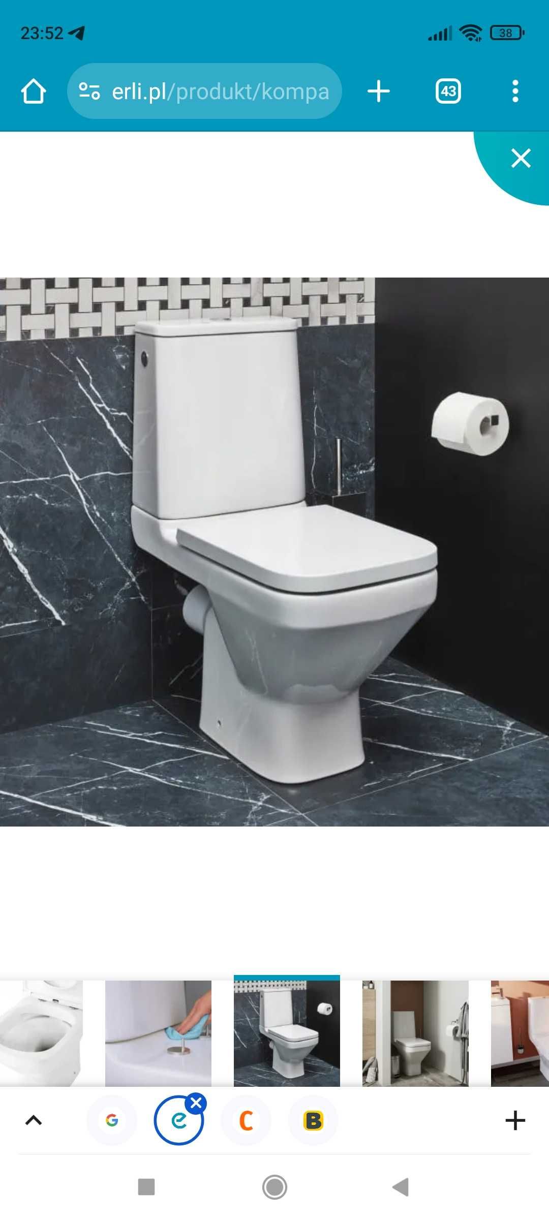 WC GoodHome Teesta