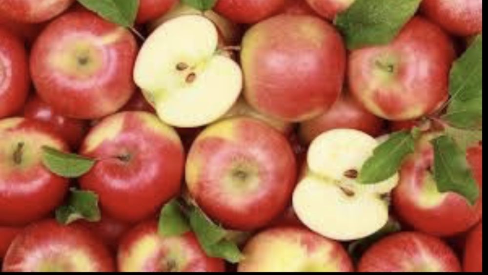 Obornik granulowany nawóz naturalny ekologiczny kurzy bydlęcy koński