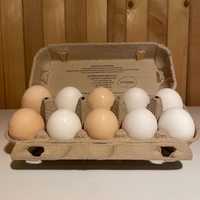 Wiejskie jajka ekologiczne z wolnego wybiegu + dostawa do domu gratis