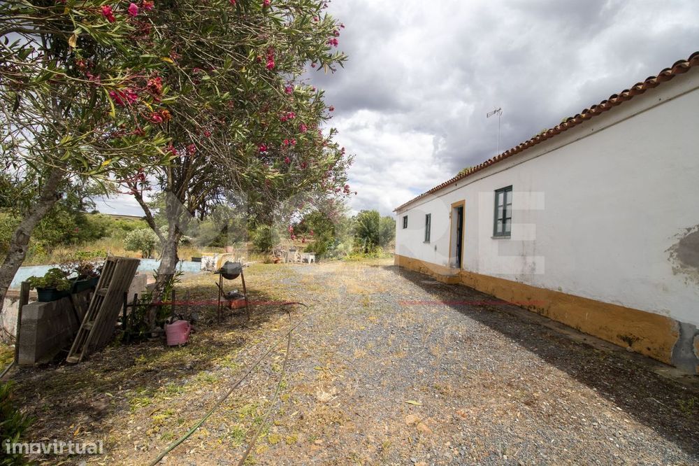 Herdade - Alvito