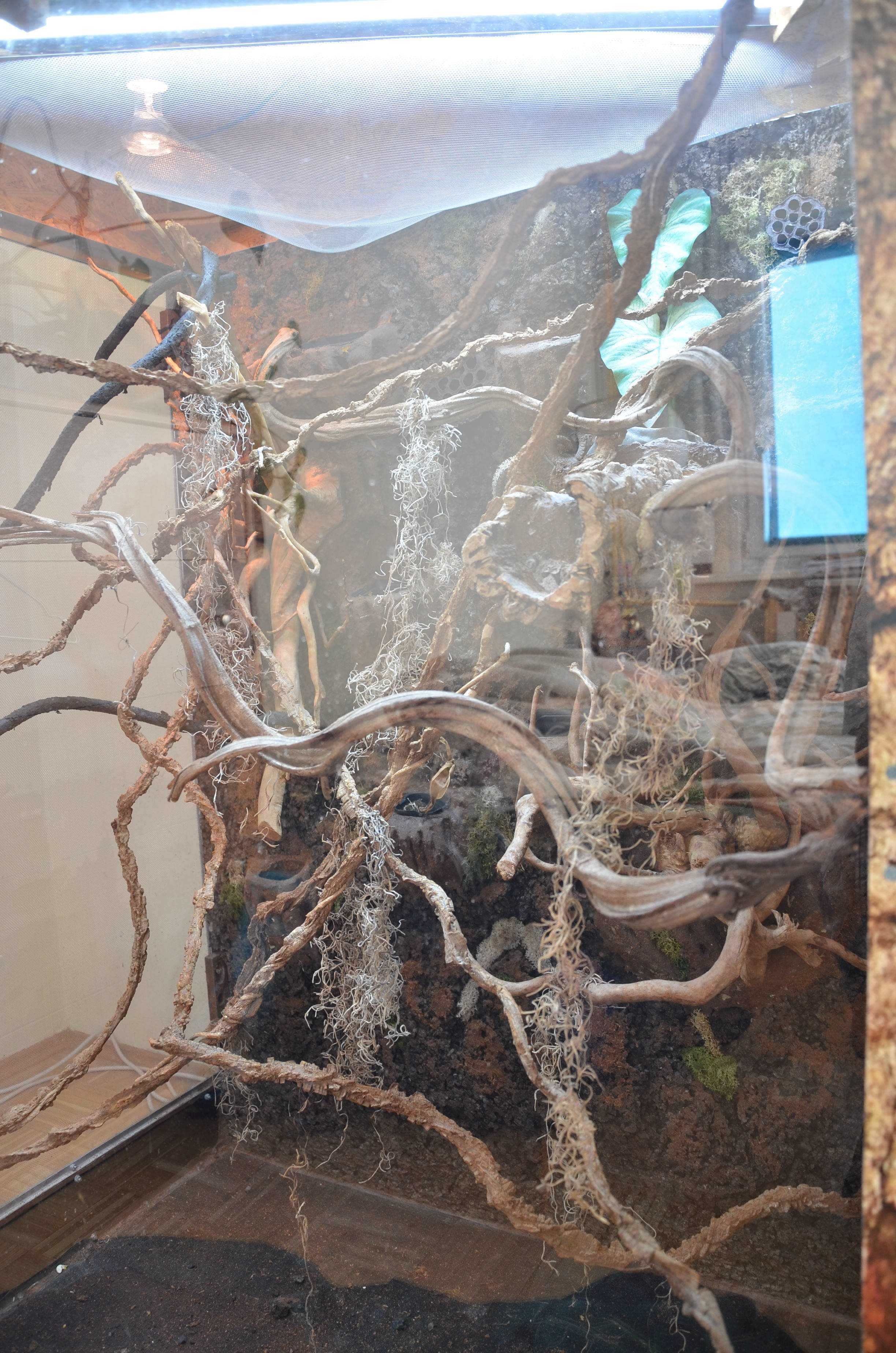 Duże terrarium dla zwierząt egzotycznych
