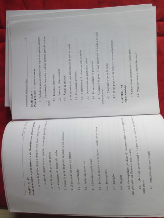 Consequências Jurídicas do Crime, de Maria João Antunes