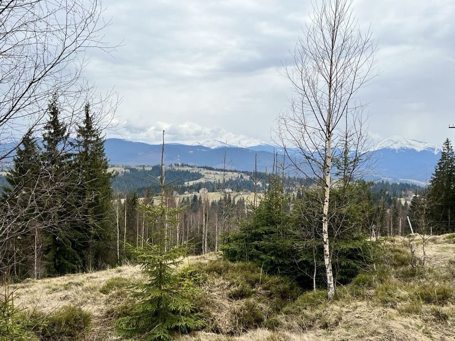 Продається земельна ділянка в с. Яблуниця, вул. Горішків