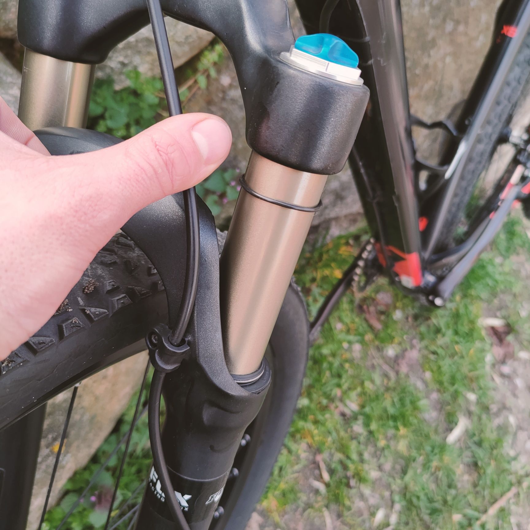 Superior XP 949. Rama L. 29er. Shimano XT, DT SWISS, FOX32.