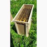 Відводок бджолиний пасіка  бджоли бджолопакет бджолосімя