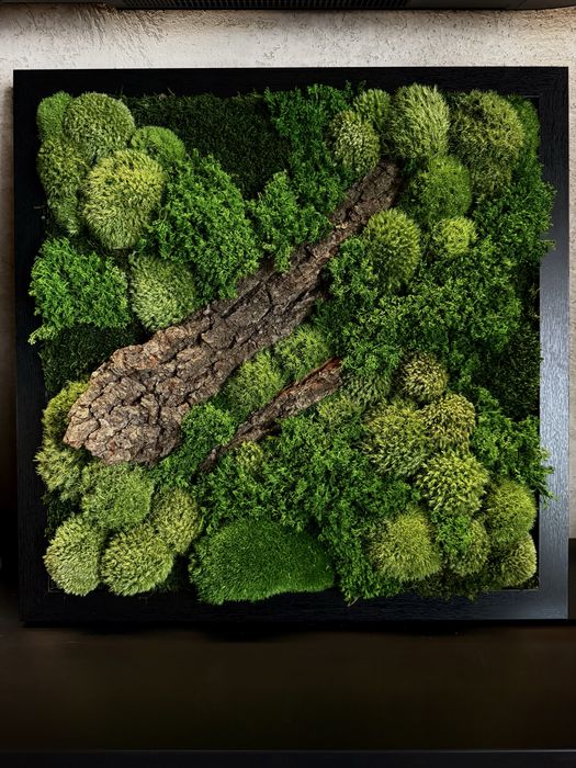 Obraz z mchu stabilizowanego 54×54