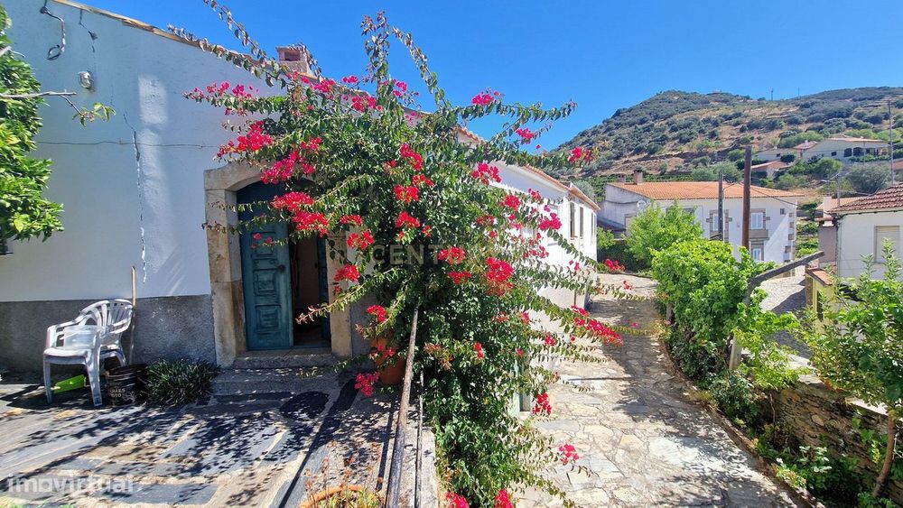 Quinta no Douro Vinhateiro