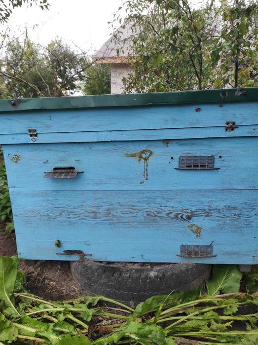 Продаємо вулики .