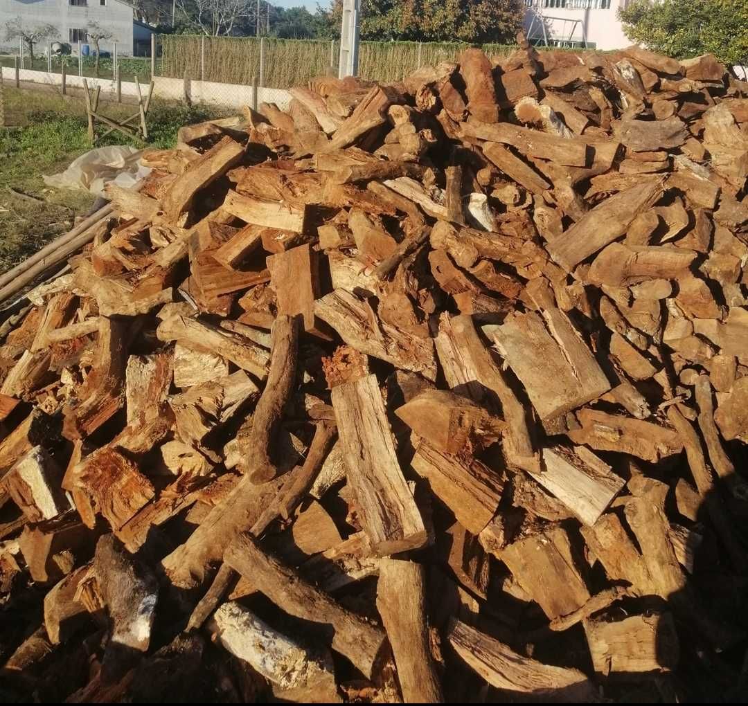 Lenha de sobro seca