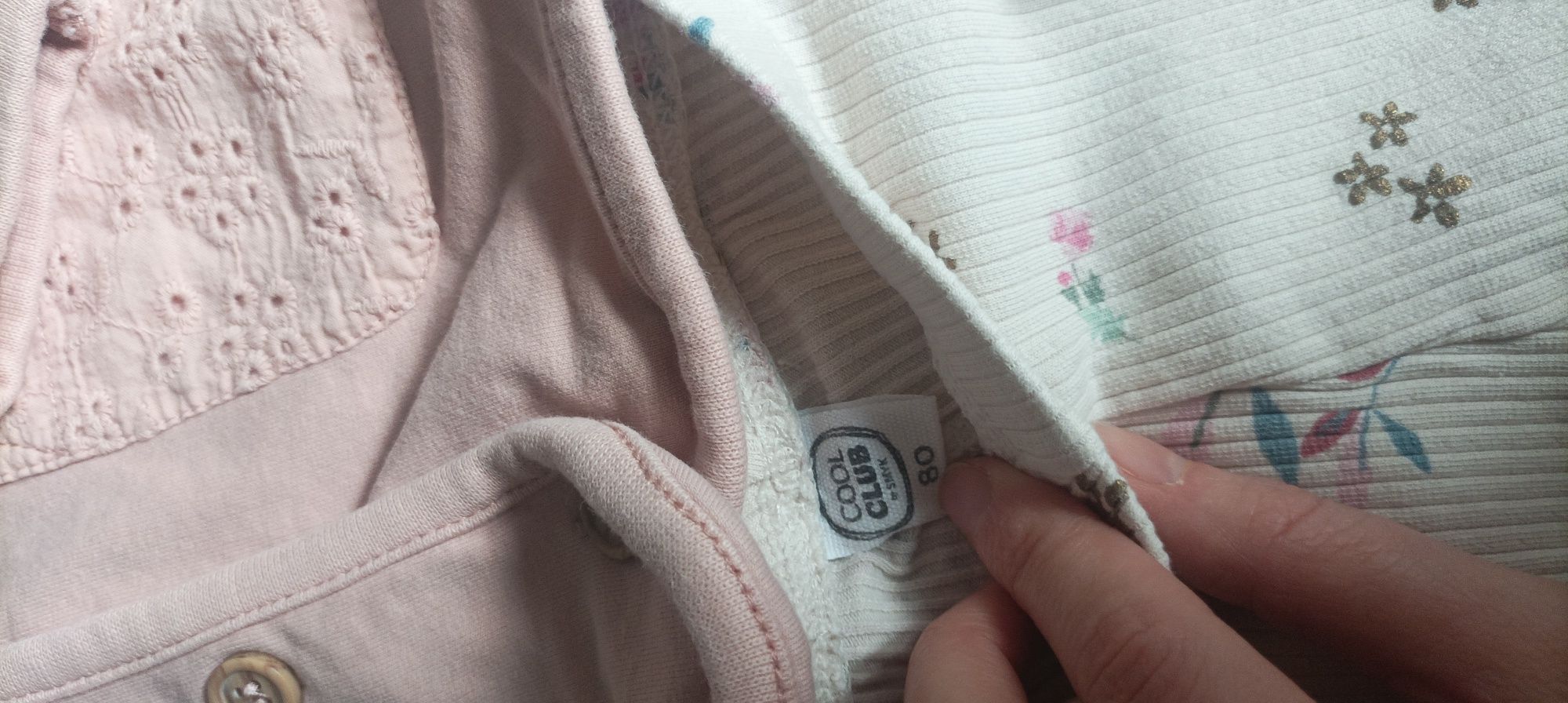 Bluzy 80 cocodrillo