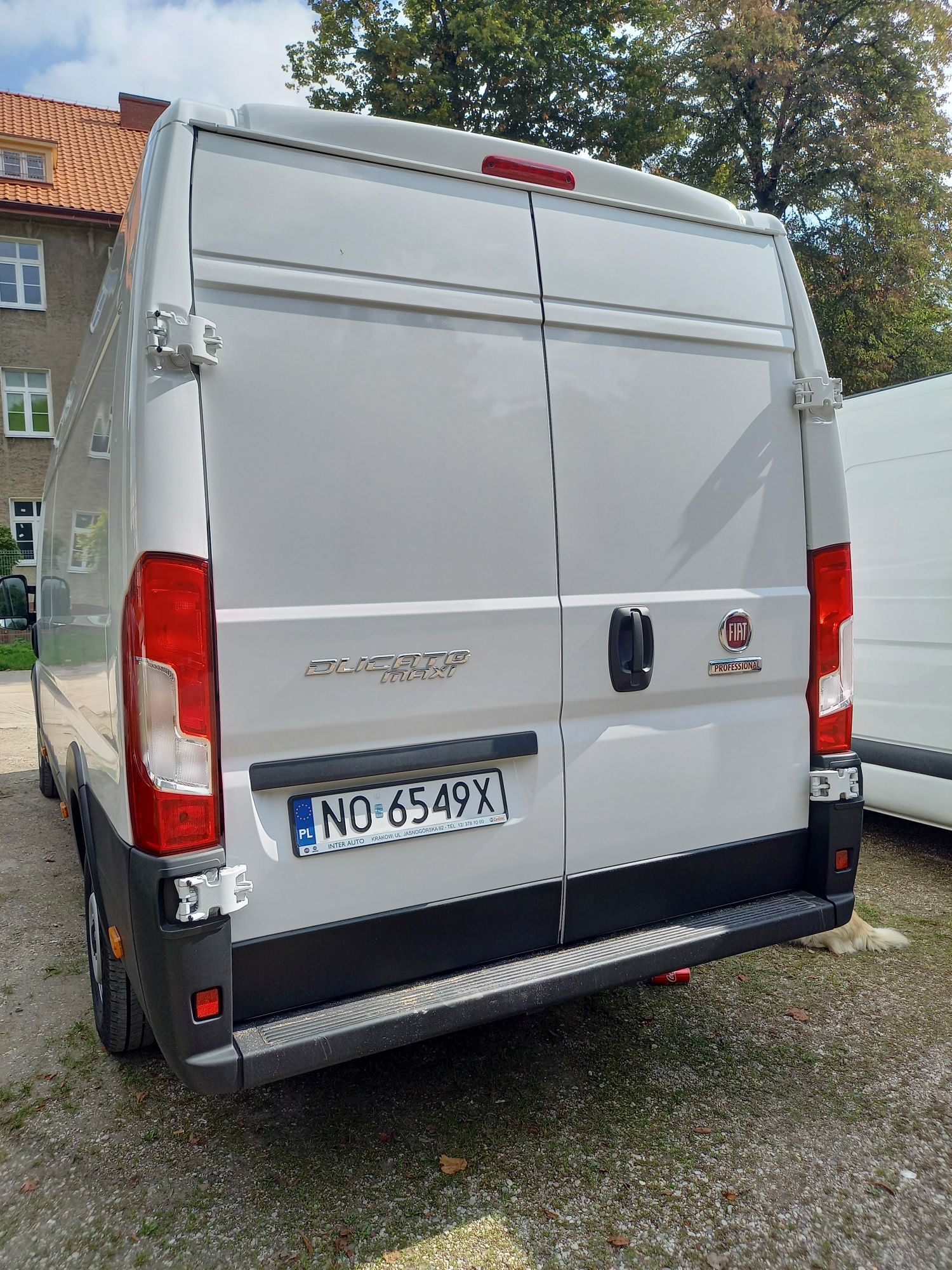 Wynajem busa fiat ducato