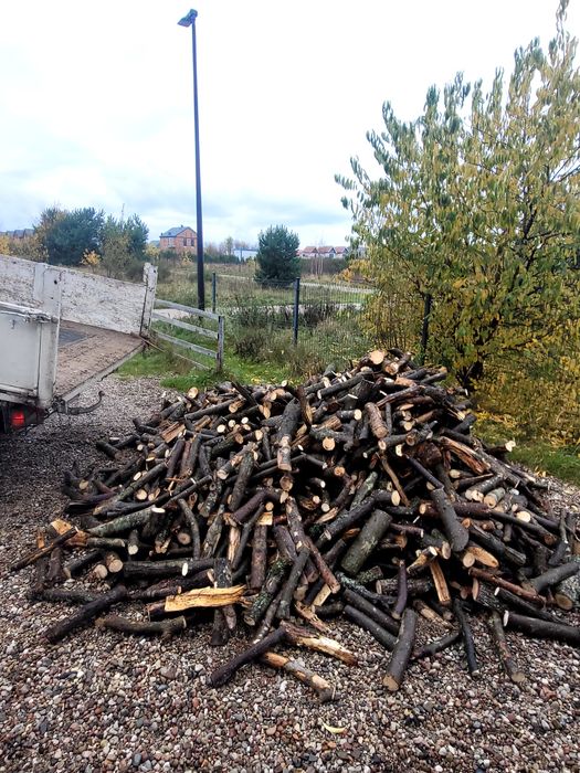 Drewno opałowe 200zł