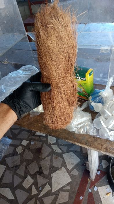 Acessórios vários para Pássaros