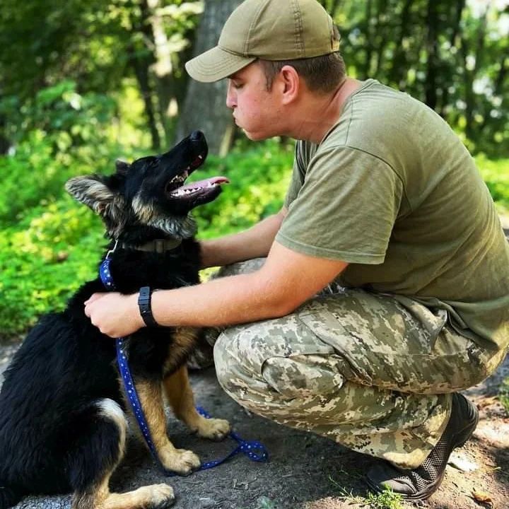 Кінолог Золотоноша та район