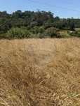 Terreno  para venda