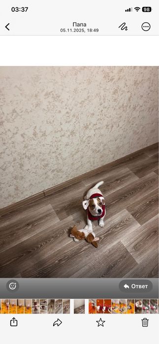 Мальчик ищет родителей