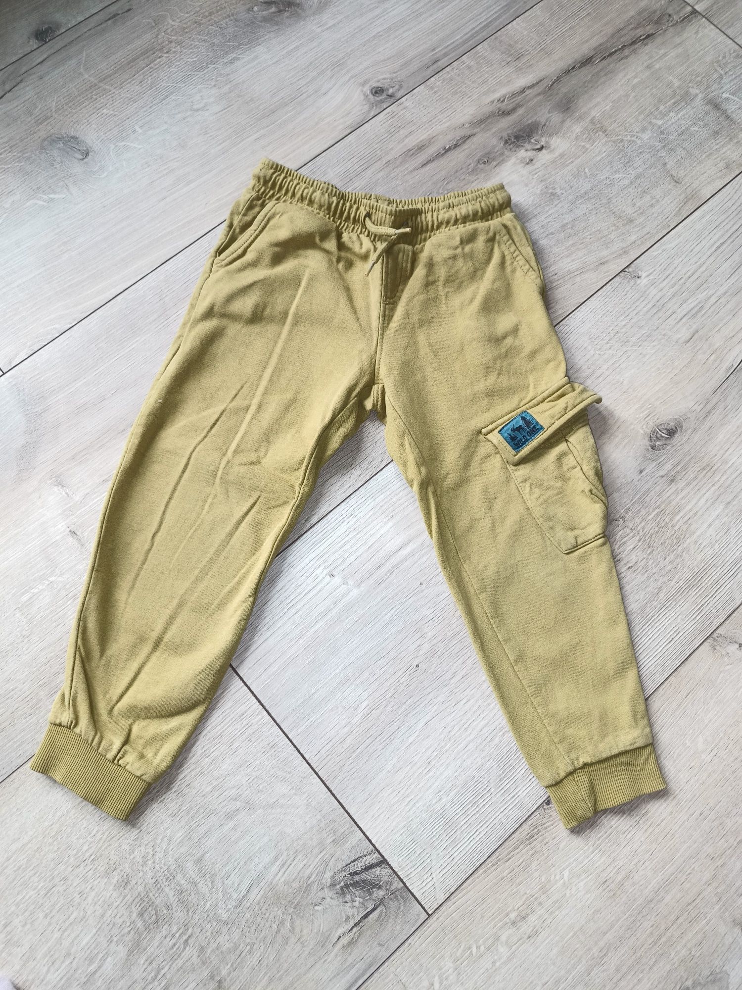 Spodnie dresowe Pepco r 104
