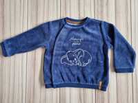 Bluza Cool Club Smyk Disney Dumbo 80 welur