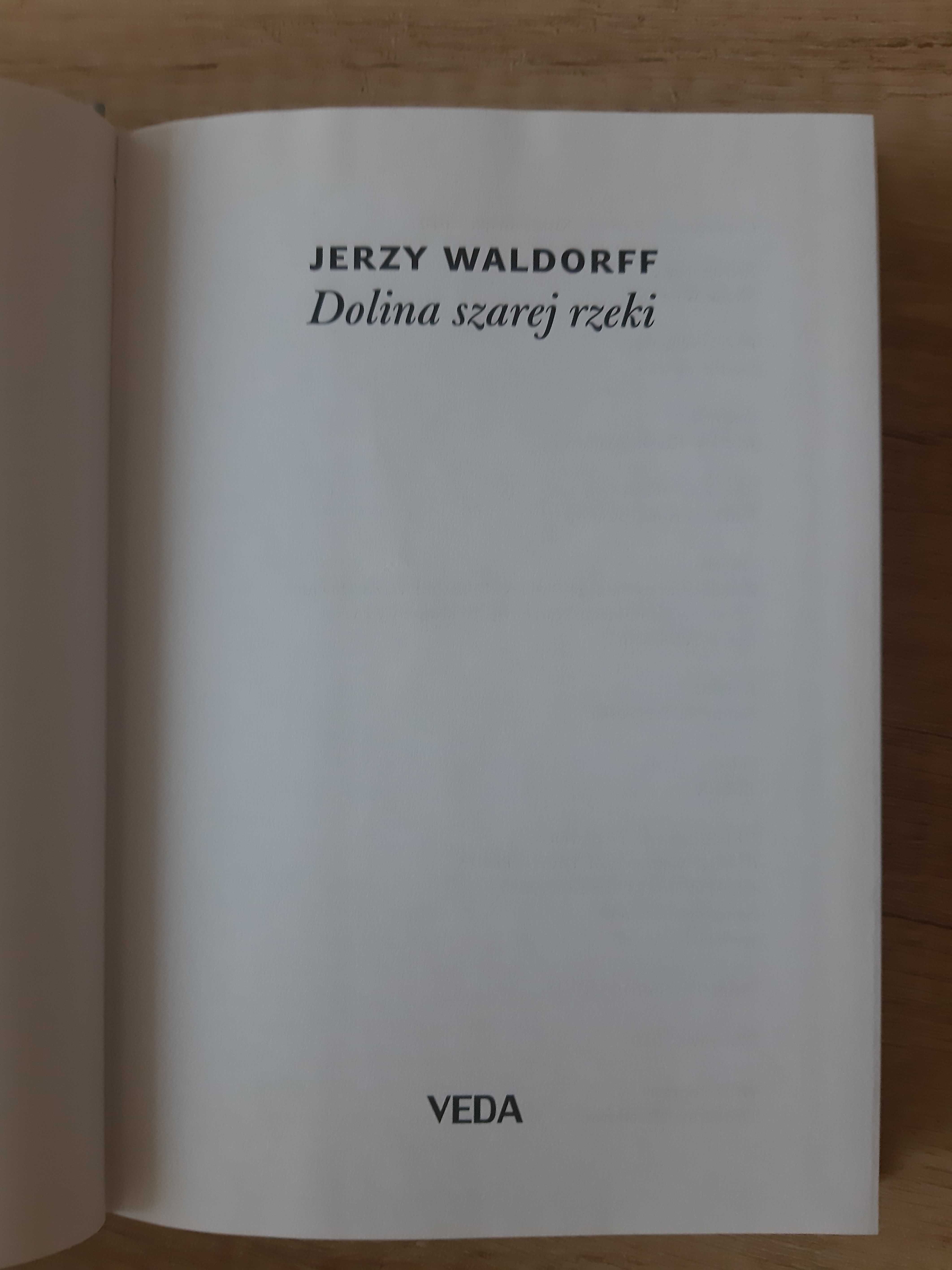 Dolina szarej rzeki - Jerzy Waldorff