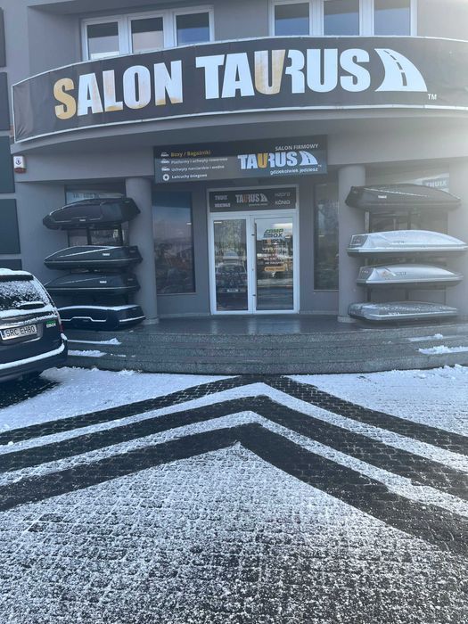 Łańcuchy śniegowe 205/65R15 Taurus Diament 9 mm gr90