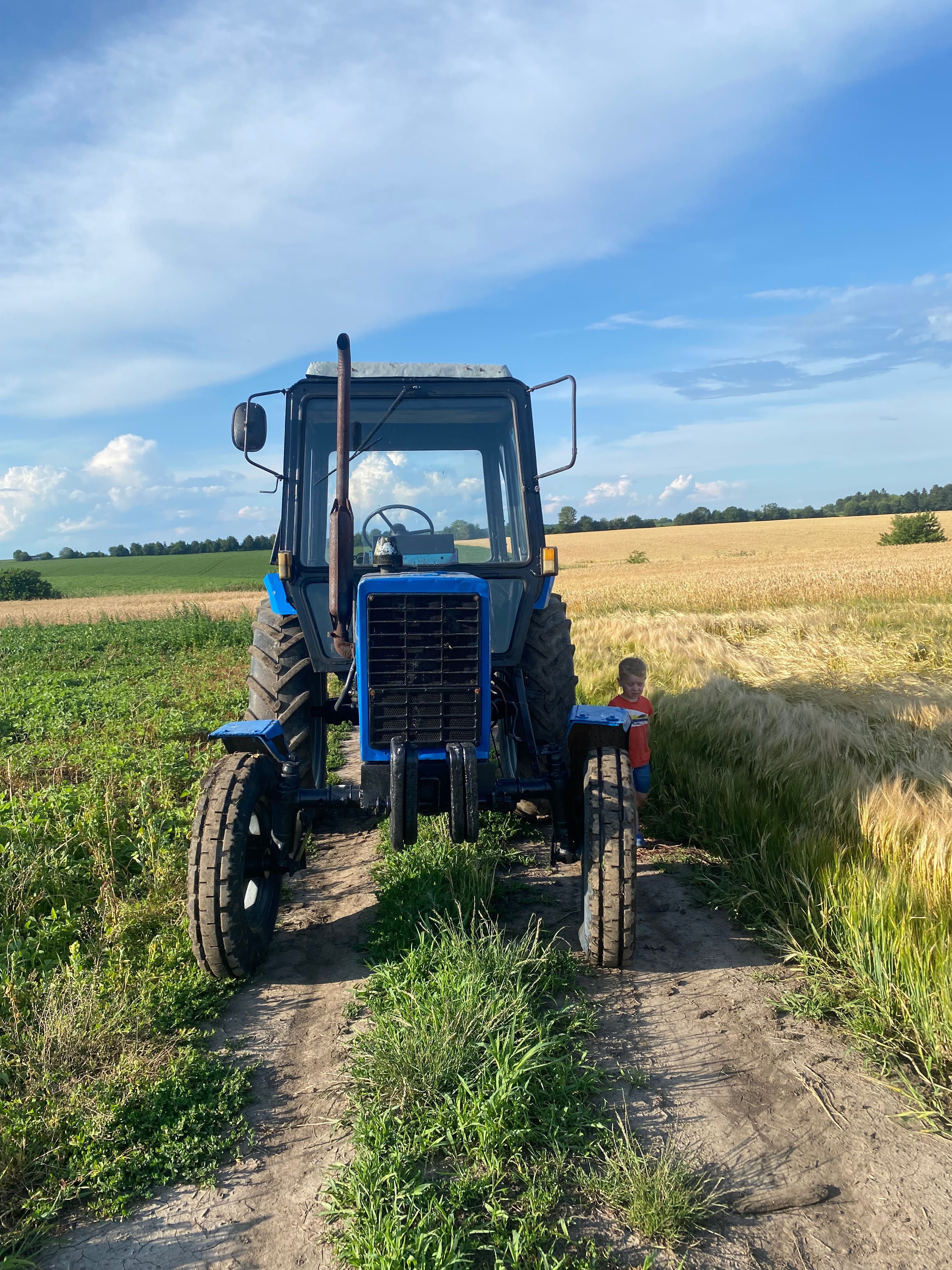 Продам МТЗ 80 в доброму стані