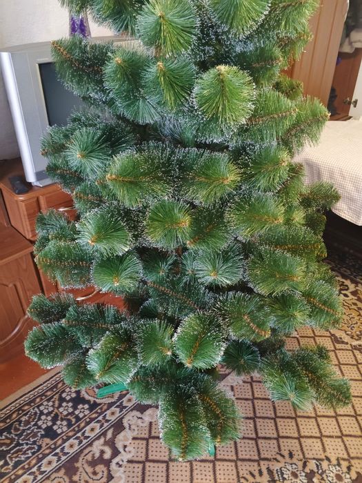 Продам ялинку 2.30 м висоти