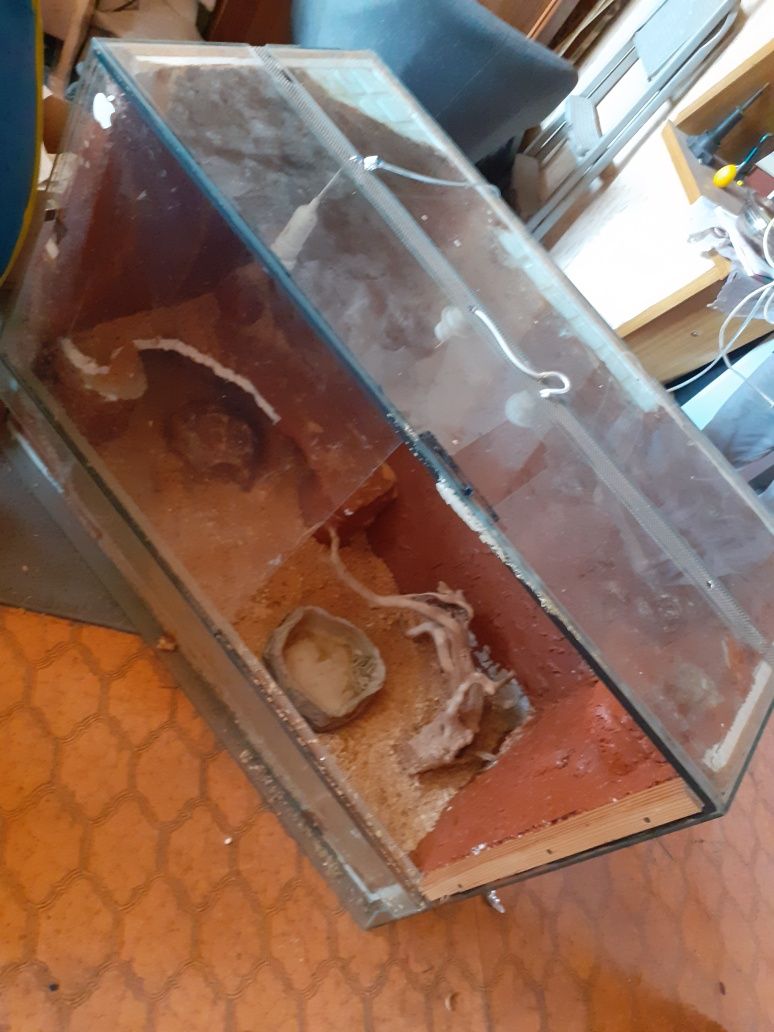 Terrarium dla Węża/Jaszczurki