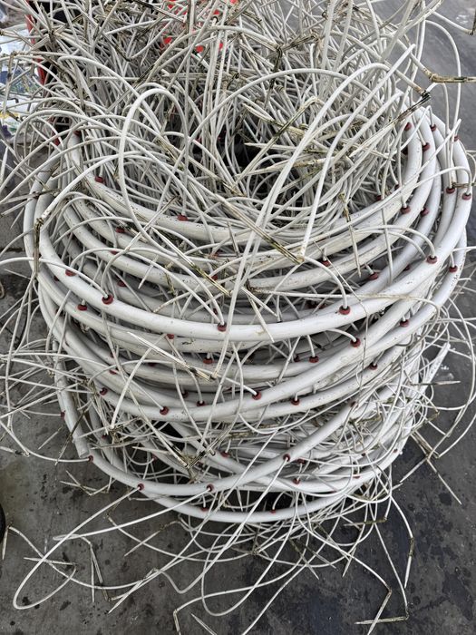 Nawodnienie kropelkowe. Netafim