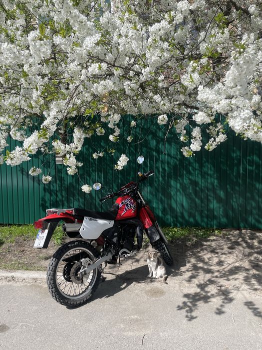 Kawasaki kmx 125