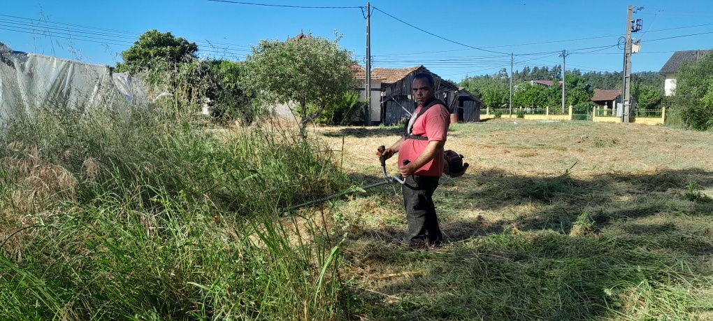 Faço desmantação de terrenos