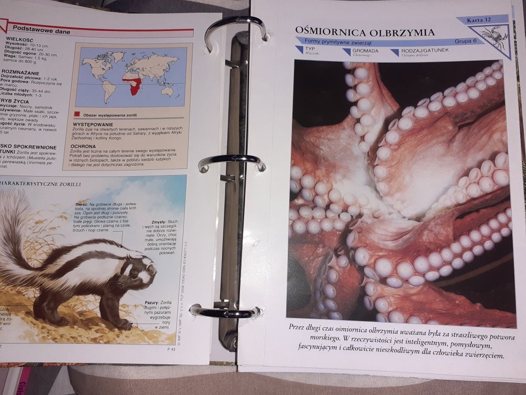 Encyklopedia przyrodnicza dla dzieci, kolekcja
