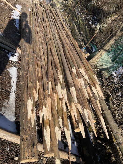 Tyki do fasoli 3m 4m 5m