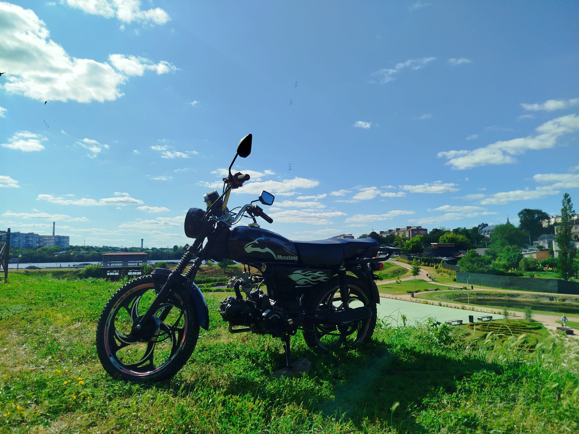 Альфа мустанг 125