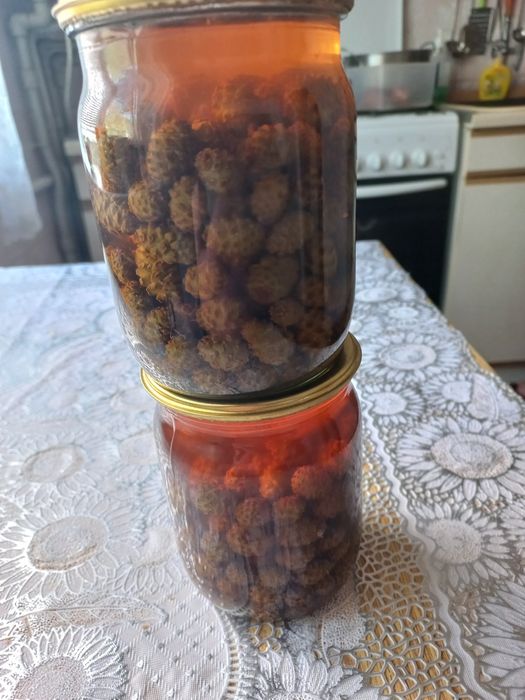 Продаю вареня з шишок сосни .05. Літра