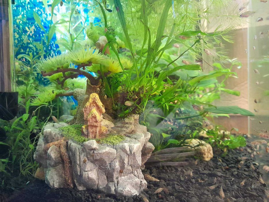 Продам акваріум в зборі Аквакомплект