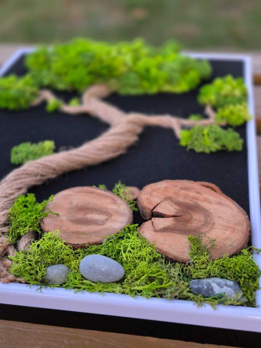 Obraz Kompozycja Mech Dekoracja Długowieczne Dom Prezent