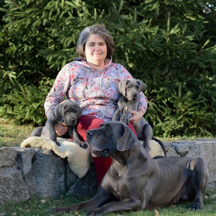 Племенные щенки из питомника. В родословной лучшие европ.производители