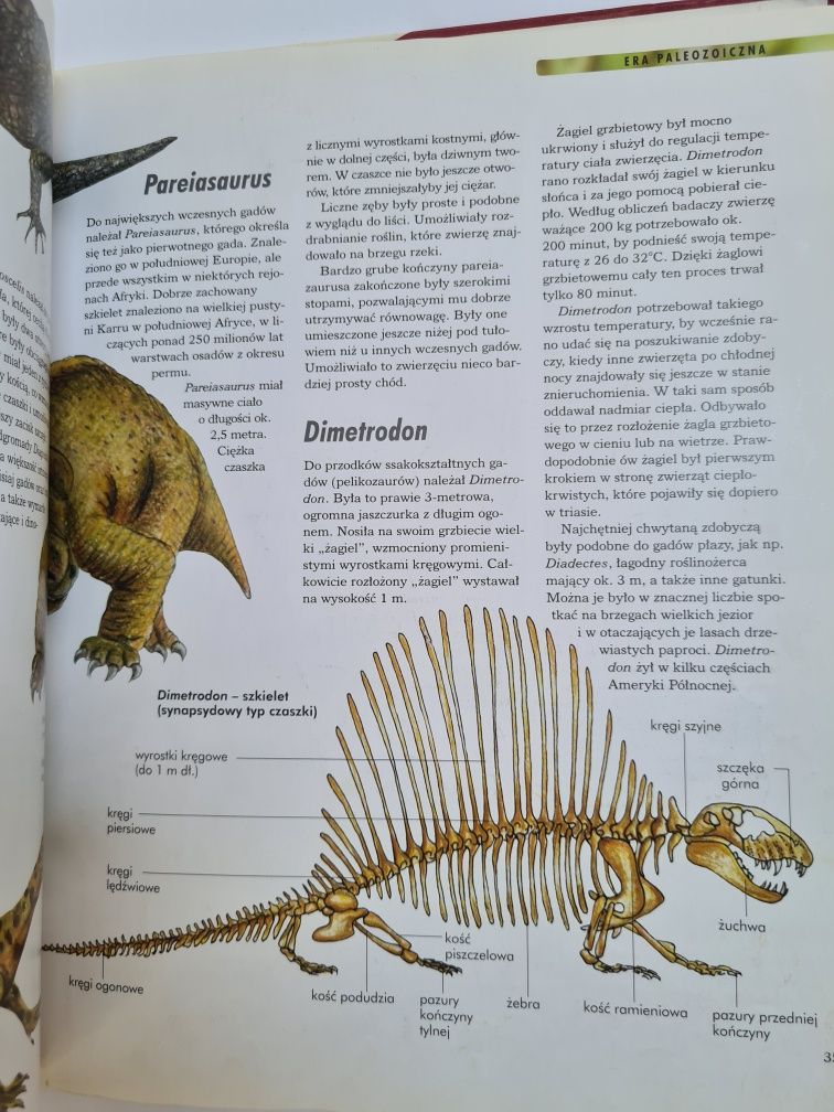 Dinozaury - Książka