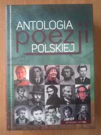 Książka Antropologia poezji polskiej wydawnictwo ibis 2018