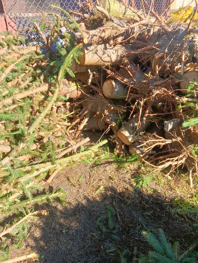 Sprzedam drzewo opałowe