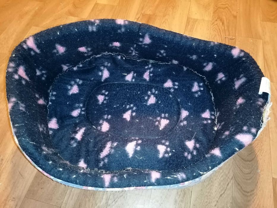 Cama, manta, trela, pente, corta unhas para cão